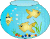 5# рыбки в аквариуме
